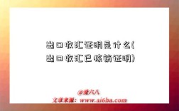 出口收匯證明是什么(出口收匯已核銷證明)