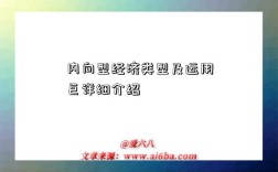 內向型經濟類型及運用巨詳細介紹