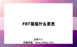 FBT是指什么意思