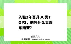 入駐2年晉升3C類TOP3，他憑什么賣爆東南亞？