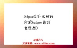 Adyen是什么支付方式(adyen是什么意思)