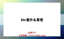 bic是什么意思（bicycle是什么意思）