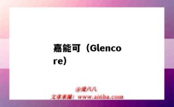 嘉能可（Glencore）（嘉能可(Glencore)）