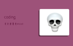 coding是什么意思,encoding是什么意思