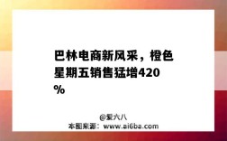 巴林電商新風采，橙色星期五銷售猛增420%