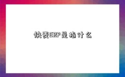 快麥ERP是指什么