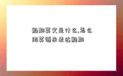 船期英文是什么,怎么用英語來表達船期