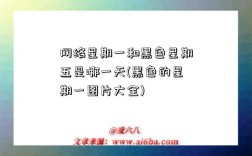 網絡星期一和黑色星期五是哪一天(黑色的星期一圖片大全)