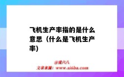 飛機生產率指的是什么意思（什么是飛機生產率)