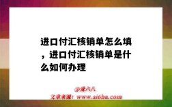 進口付匯核銷單怎么填，進口付匯核銷單是什么如何辦理（貿易進口付匯核銷單怎么填）