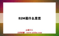 B2M是什么意思（駕駛證b2m是什么意思）