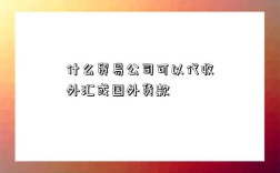 什么貿易公司可以代收外匯或國外貨款