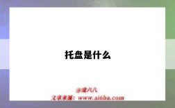 托盤是什么（托盤是什么意思）