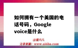 如何擁有一個美國的電話號碼，Googlevoice是什么（googlevoice打國內電話）