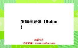 羅姆半導體（Rohm）（羅姆半導體(上海)有限公司）