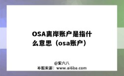 OSA離岸賬戶是指什么意思（osa賬戶）