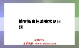 俄羅斯白色清關常見問題（白俄羅斯清關嚴格嗎）