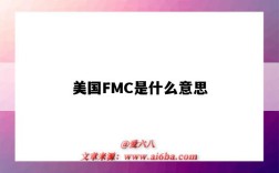 美國FMC是什么意思（美國fmc）