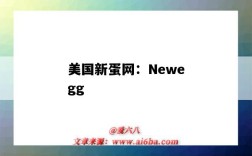 美國新蛋網：Newegg（美國新蛋網優缺點）