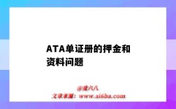 ATA單證冊的押金和資料問題（ata單證冊押金多少）