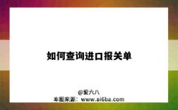 如何查詢進口報關單（如何查詢進口報關單的電子信息）