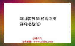 南非稅務局(南非稅務局戰略規劃)