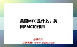 美國MFC是什么，美國FMC的作用（美國fmc是什么意思）