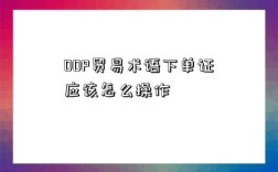 DDP貿易術語下單證應該怎么操作