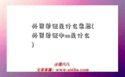 外貿單證是什么意思(外貿單證中co是什么)