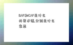 BAF和CAF是什么外貿術語,分別是什么意思