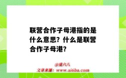 聯營合作子母港指的是什么意思？什么是聯營合作子母港？