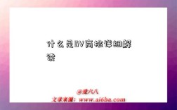 什么是BV商檢詳細解讀