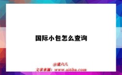 國際小包怎么查詢（國際小包查詢）