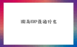 斑馬ERP是指什么