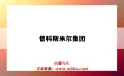 德科斯米爾集團（德科斯米爾集團怎么樣）