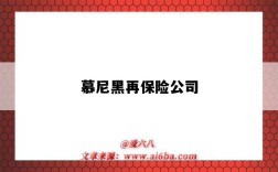 慕尼黑再保險公司（慕尼黑再保險公司世界排名）