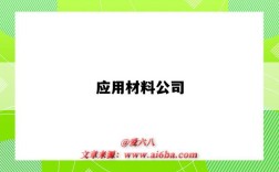 應用材料公司（應用材料公司厲害嗎）