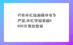 代收外匯違規操作有多嚴重,外匯管理局逾8000萬罰金震懾