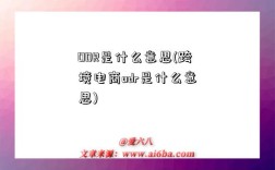 ODR是什么意思(跨境電商odr是什么意思)