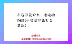 小老板是什么，有哪些功能(小老板命是什么意思)