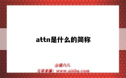 attn是什么的簡稱（attn是什么的簡稱 FX Dept）