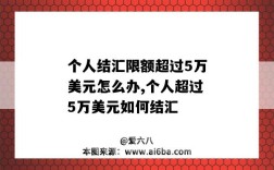 個人結匯限額超過5萬美元怎么辦,個人超過5萬美元如何結匯