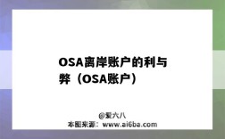 OSA離岸賬戶的利與弊（OSA賬戶）