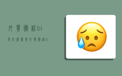 外貿術語bl是什么意思,外貿術語bl是什么意思啊