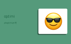 optimize,optimize的中文