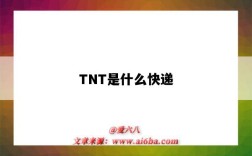 TNT是什么快遞（tnt是什么快遞公司）