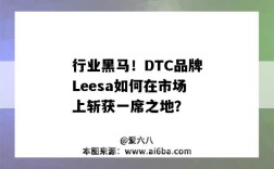 行業黑馬！DTC品牌Leesa如何在市場上斬獲一席之地？（dtc品牌成功案例）