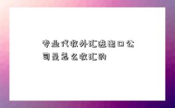 專業代收外匯進出口公司是怎么收匯的