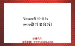 Venmo是什么(venmo是什么支付)