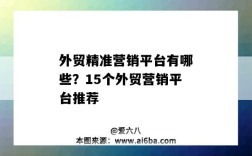 外貿精準營銷平臺有哪些？15個外貿營銷平臺推薦（外貿營銷平臺哪個好）